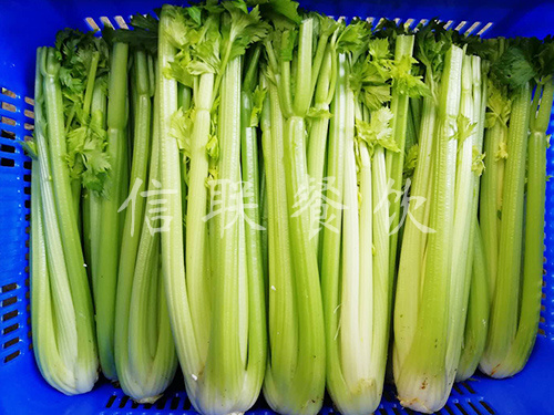 芹菜